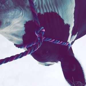 Meet your Posher, Madison